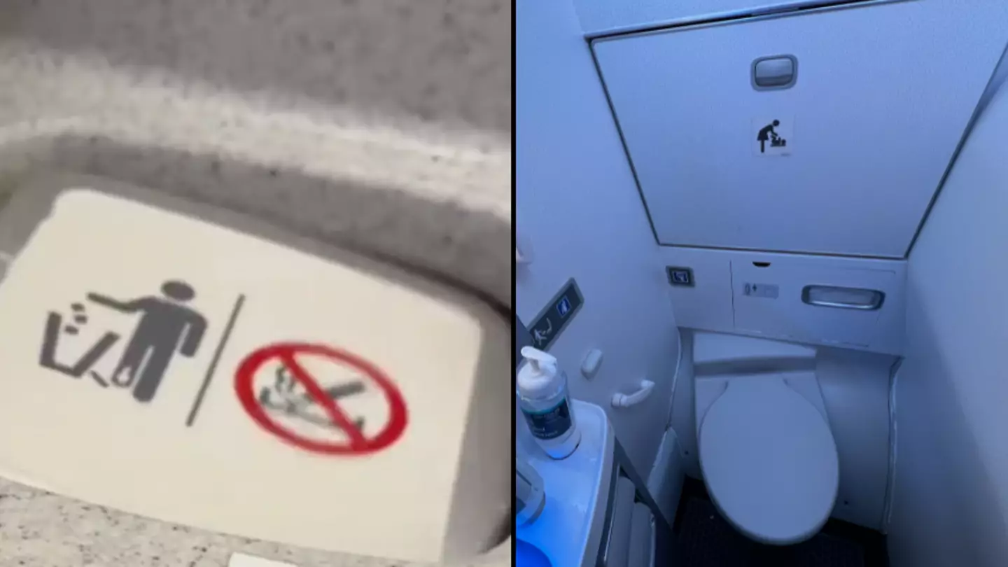 Air passengers are only just discovering function of 'hidden' foot pedal in plane toilets