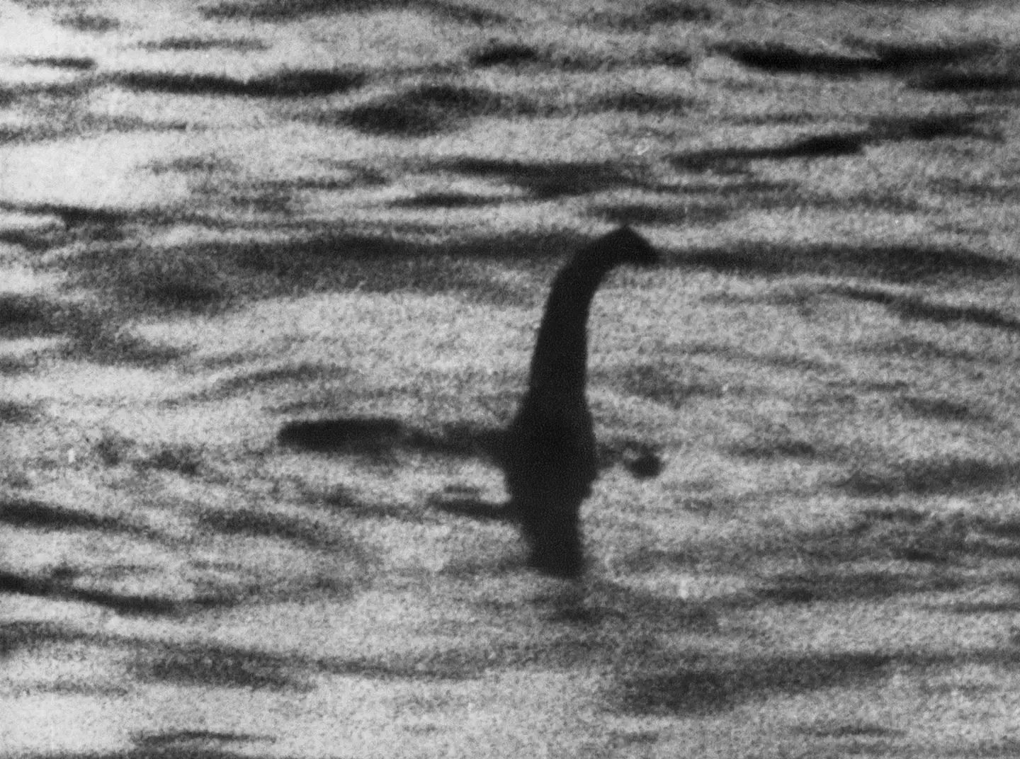 The alleged Loch Ness Monster was first documented in a biography in 565 AD.