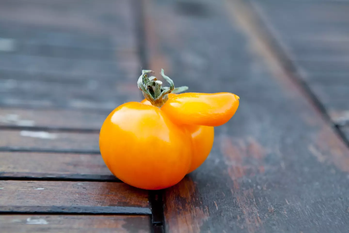 This tomato looks like a doodle.