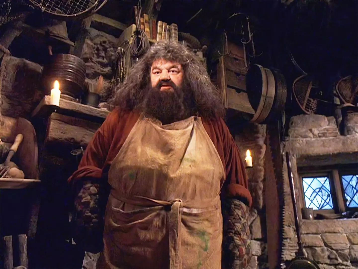 Robbie Coltrane as Rubeus Hagrid in Harry Potter and the Philosophers Stone.