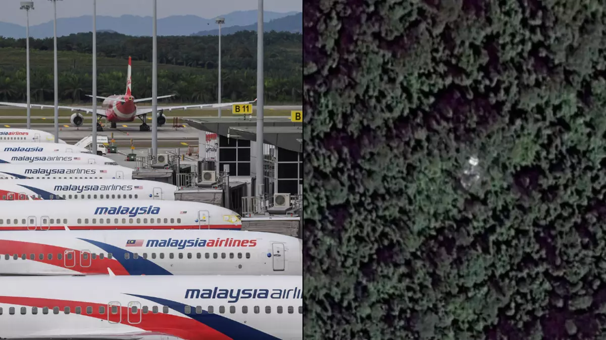 令人毛骨悚然的谷歌地图图片让兄弟俩着手解决马来西亚航空 MH370 航班失踪案