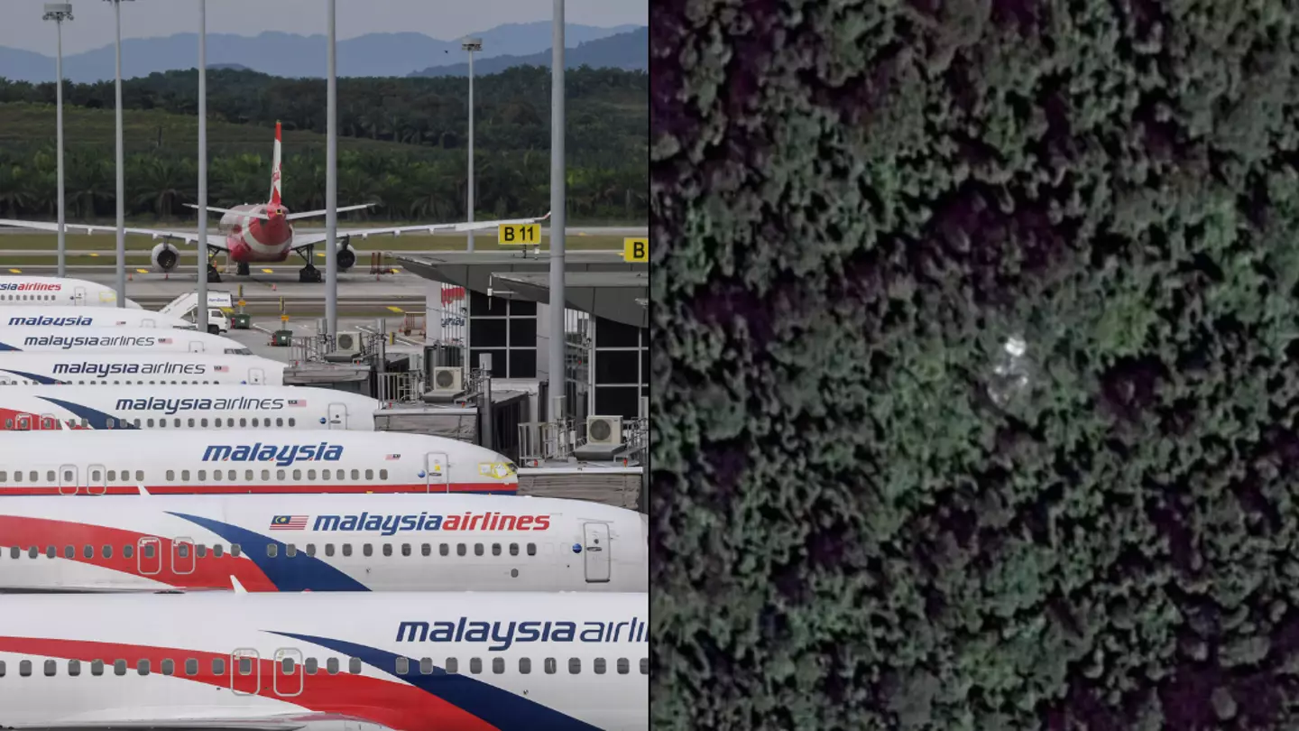 Chilling Google Maps image set brothers on quest to solve the case of missing Malaysian Airlines flight MH370
