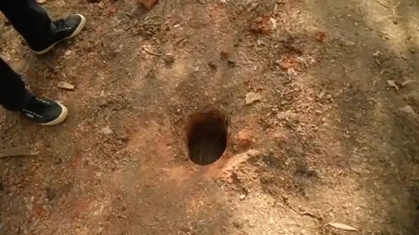 Large holes were dug into the ground to collect soil samples.