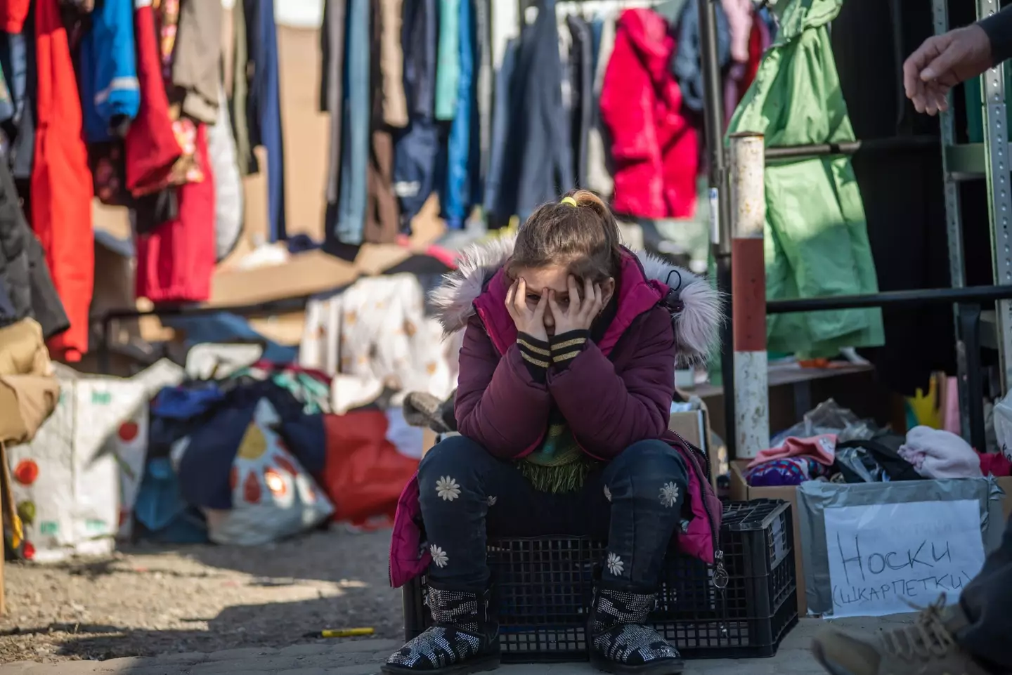 Millions have fled from the war in Ukraine.