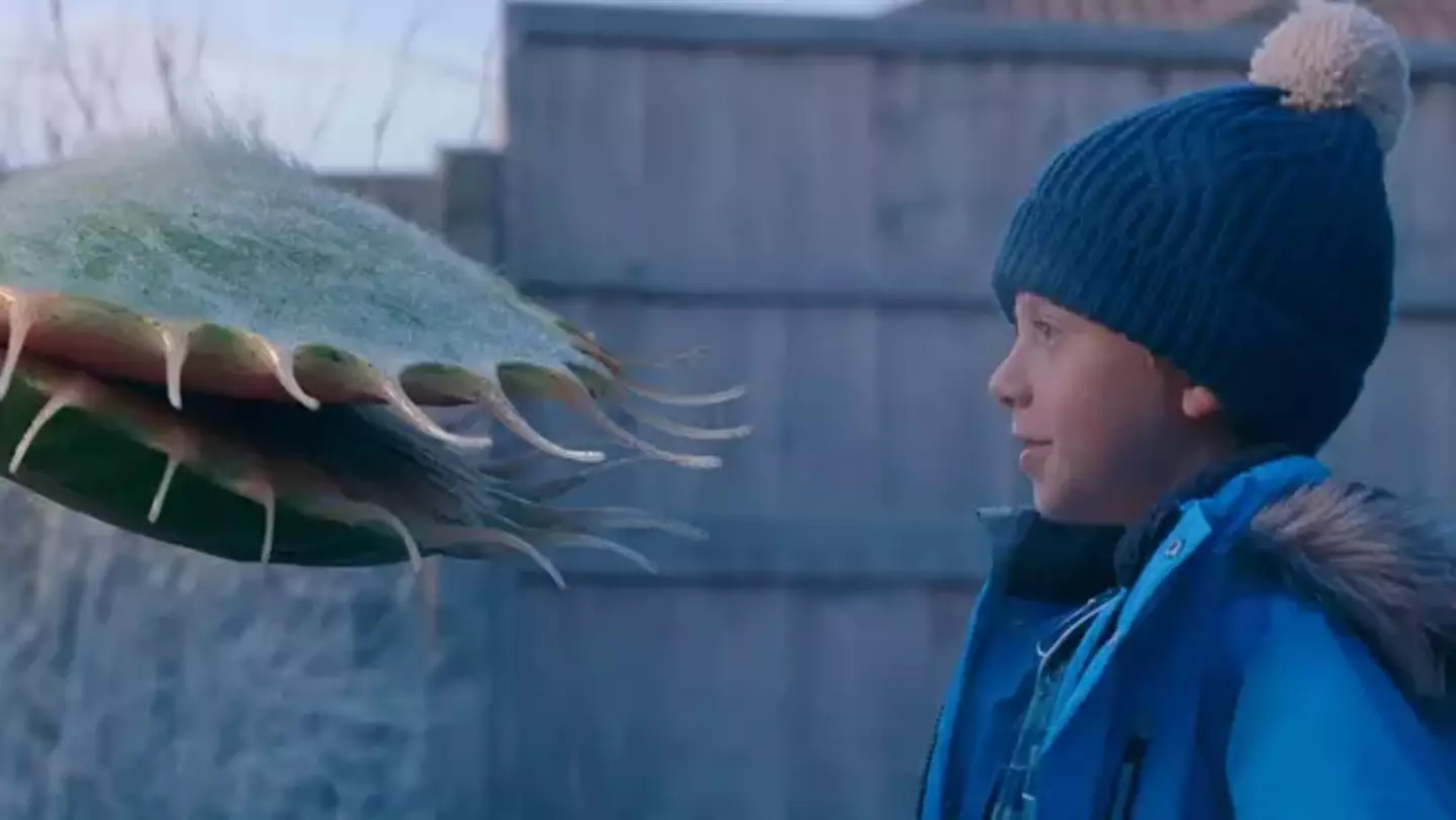 John Lewis have released their new Christmas advert about a venus fly trap called Snapper.
