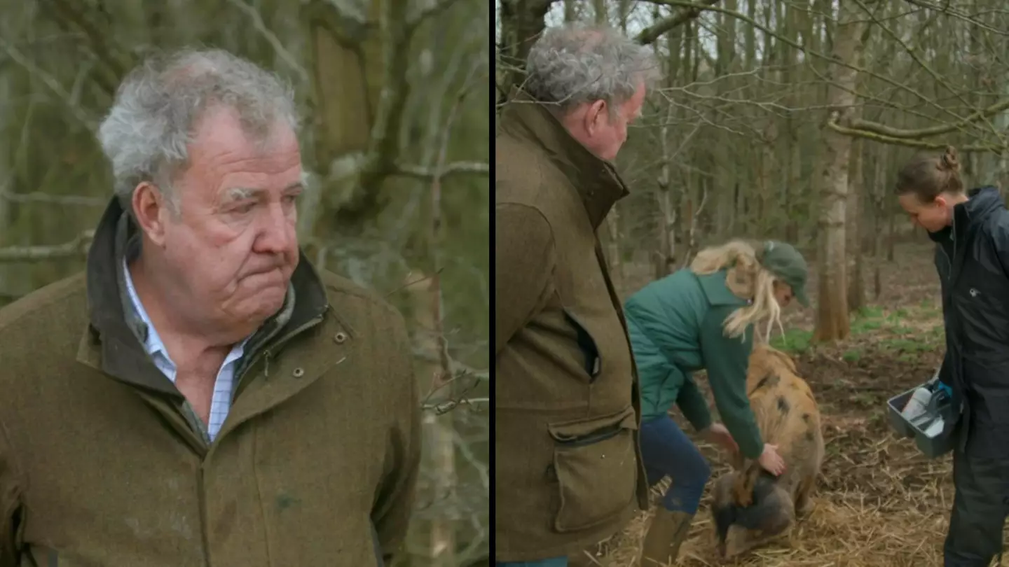Clarkson’s Farm finally explains why much-loved animal was put down as viewer says they 'left her to die'