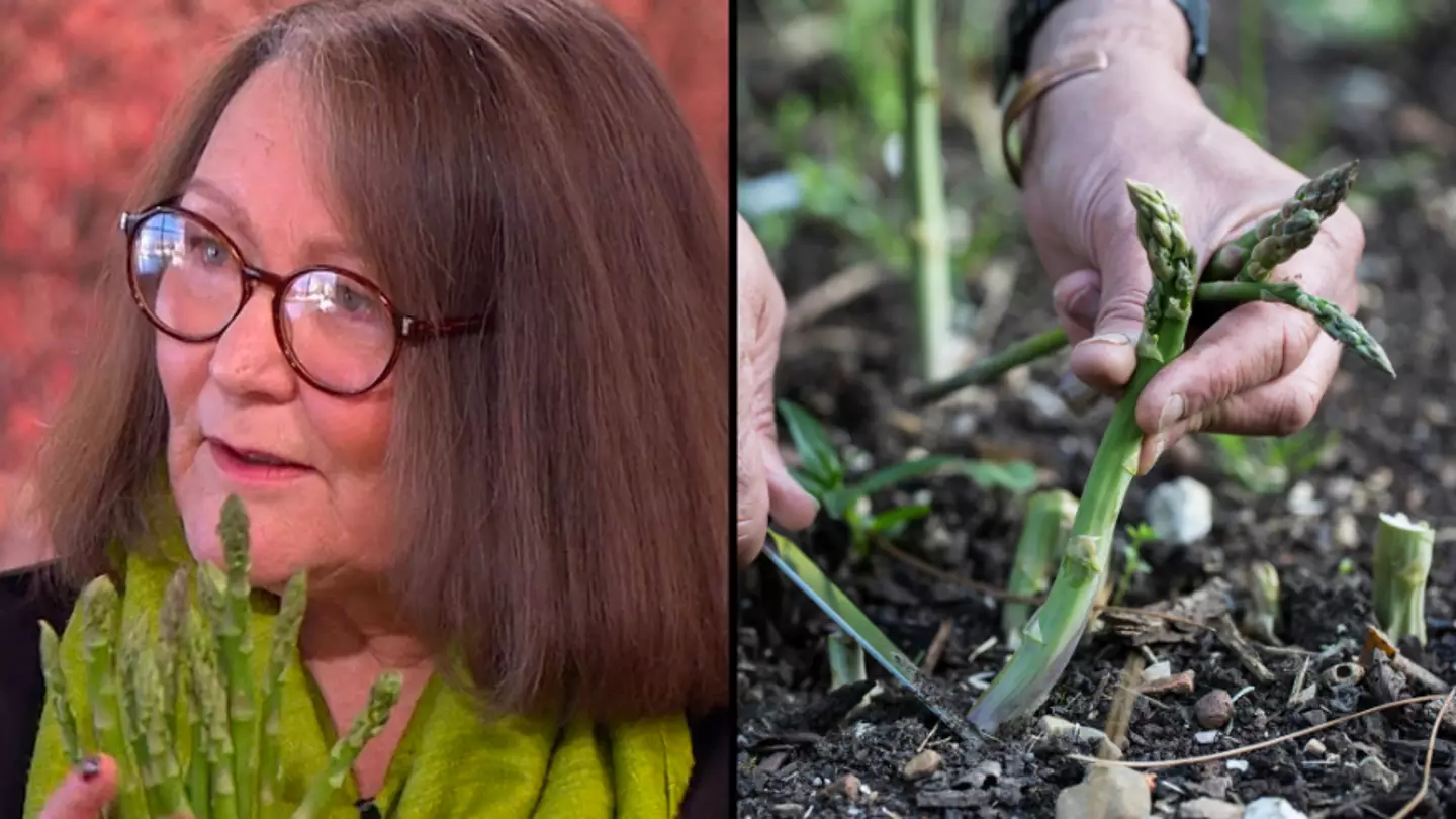 Psychic who predicted Queen’s death using asparagus reveals her predictions for 2024