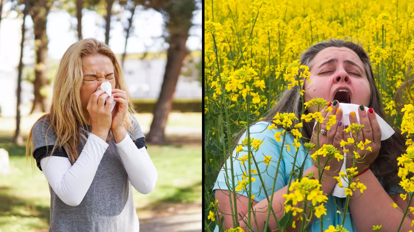 Europe's five worst places to visit if you have really bad hay fever