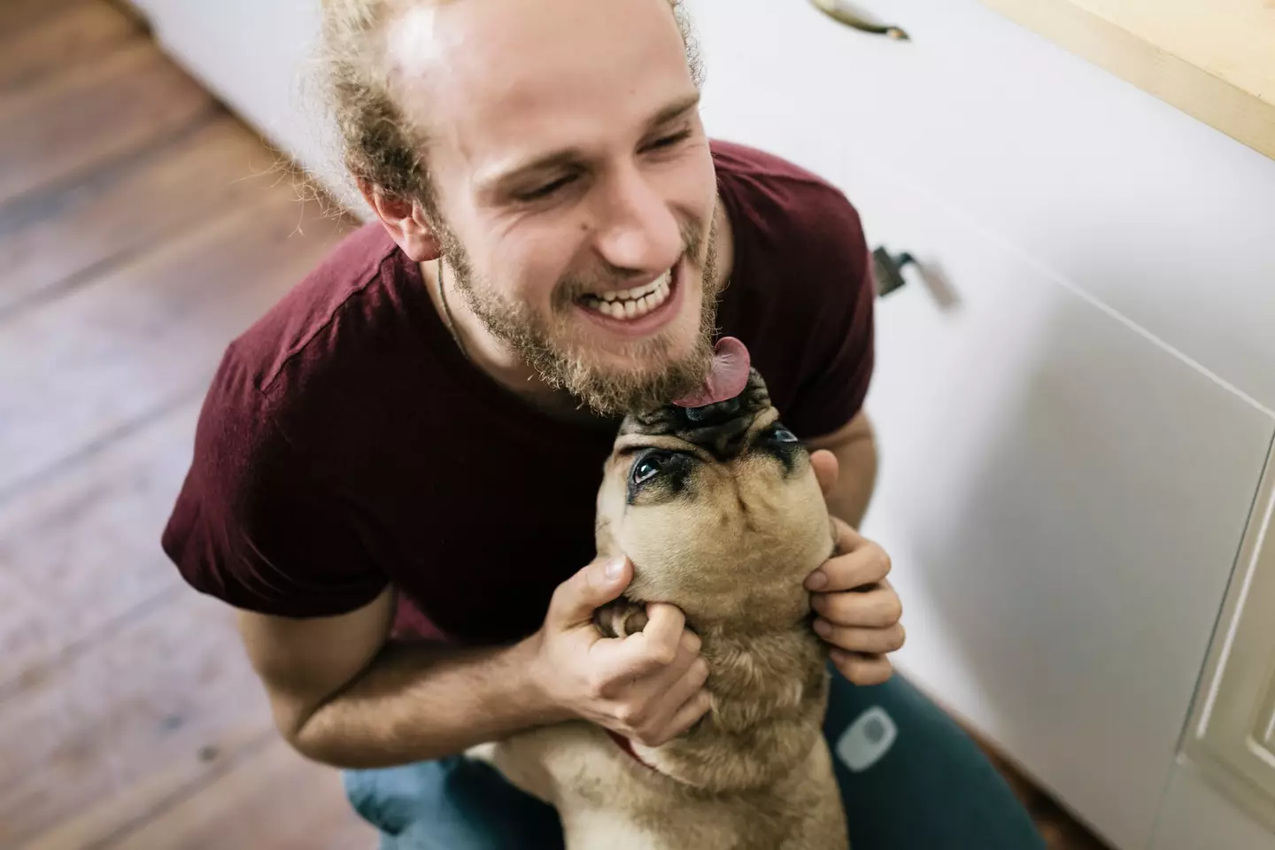 Men with dogs are apparently a huge hit (Getty Stock Photo)