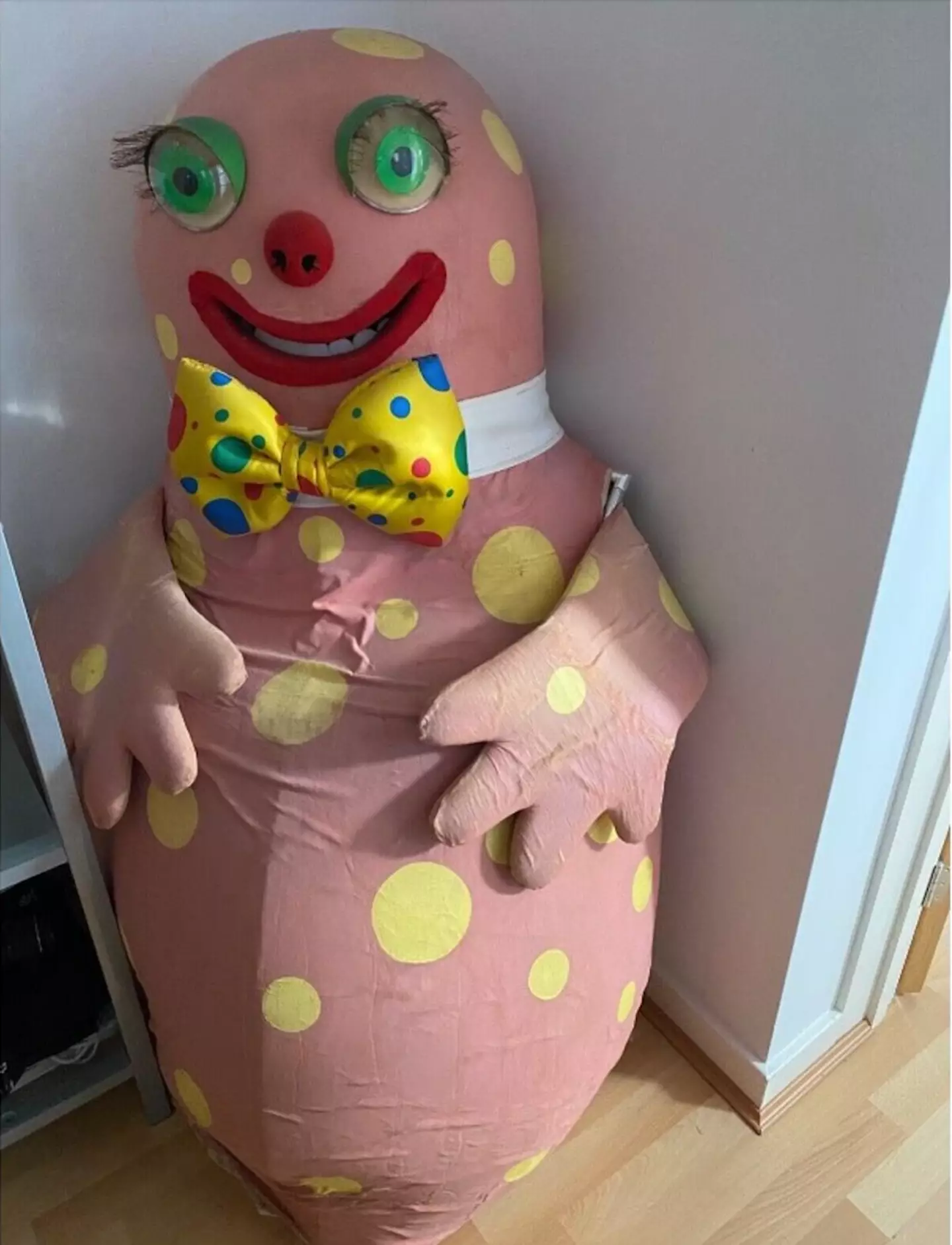 The Mr Blobby costume turned out to be goldmine.