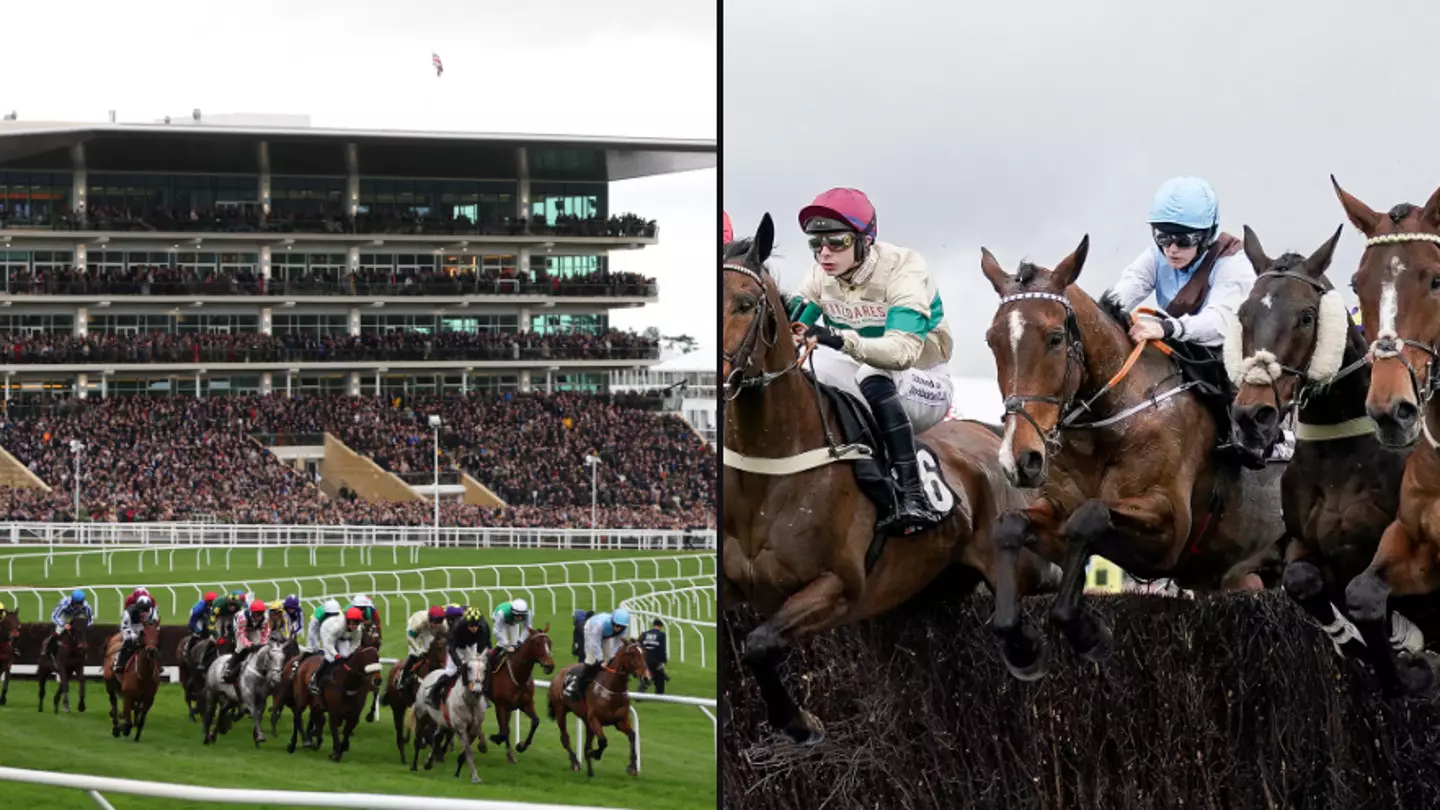 Horse confirmed dead after accident at Cheltenham festival