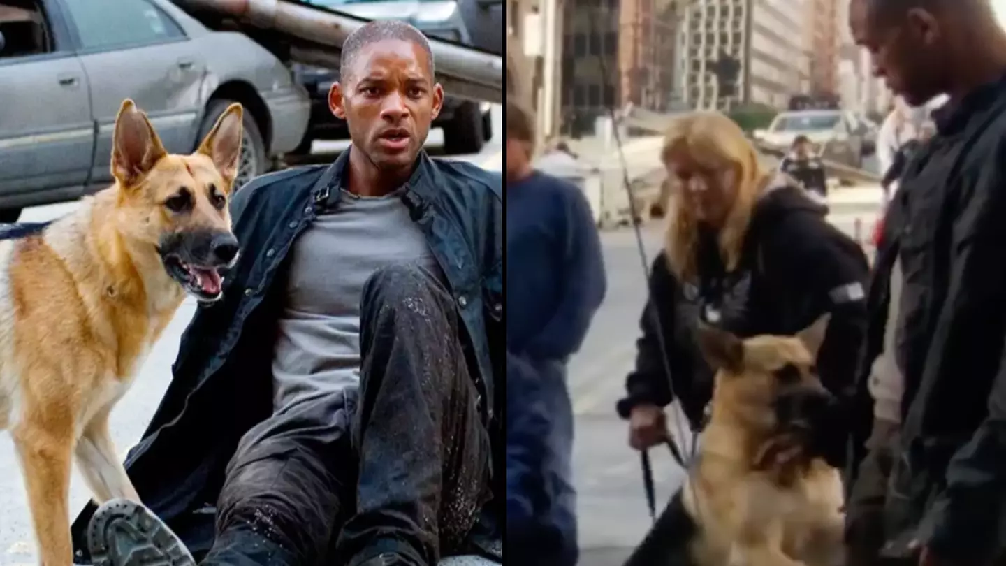 Will Smith leaves people traumatised as he pays tribute to his dog from I Am Legend