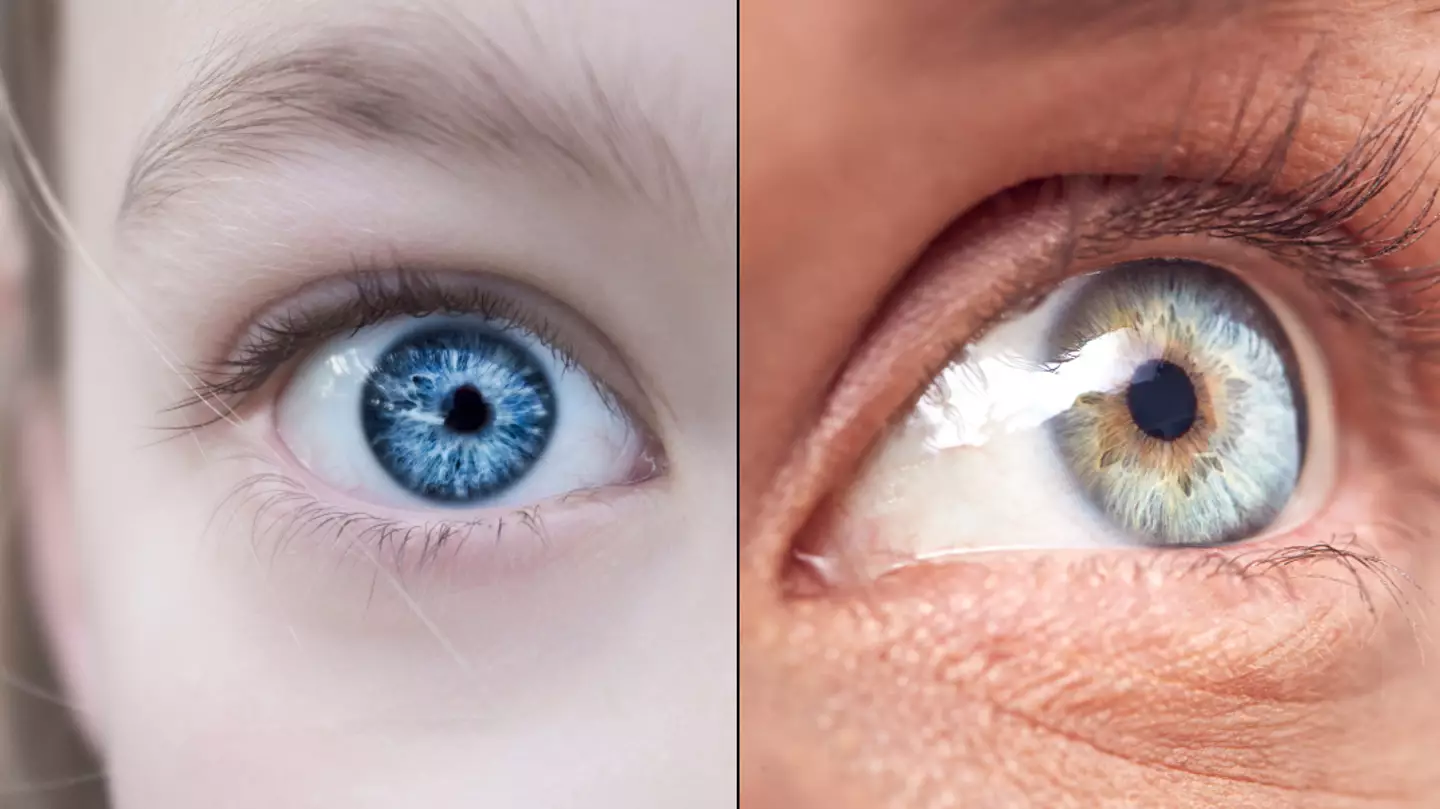 Every blue eyed person on Earth is a descendant of one single person, scientists find