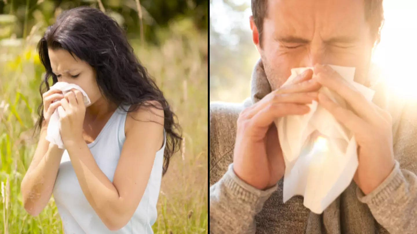 Doctor issues 'cheat code' for people suffering with hay fever during pollen bomb