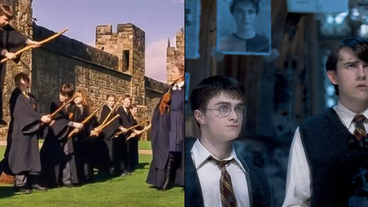 Harry Potter star reveals they would 'certainly consider' TV show reboot under one condition
