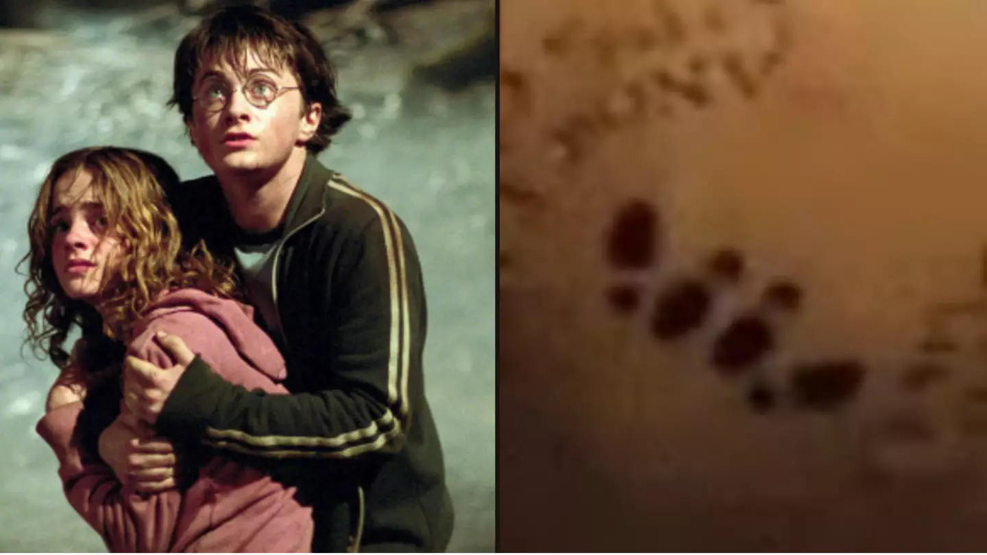 Harry Potter fans think they've discovered a 'hidden sex scene' in The Prisoner of Azkaban