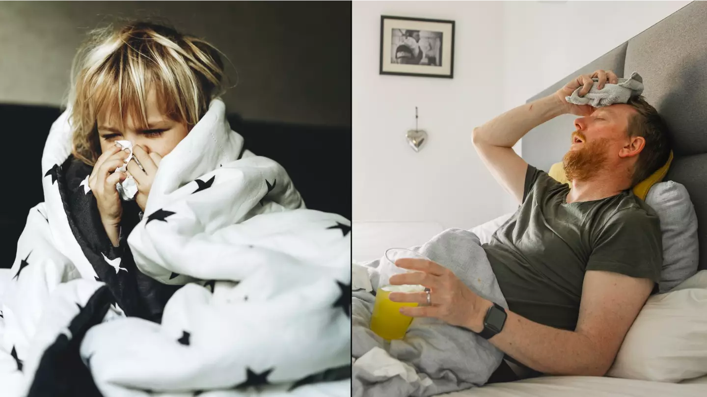 How to tell difference between cold and flu as brutal virus sweeps UK