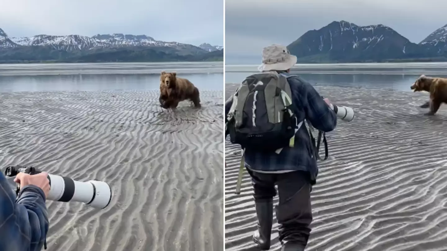 Tourists fend off terrifying bear by screaming in its face