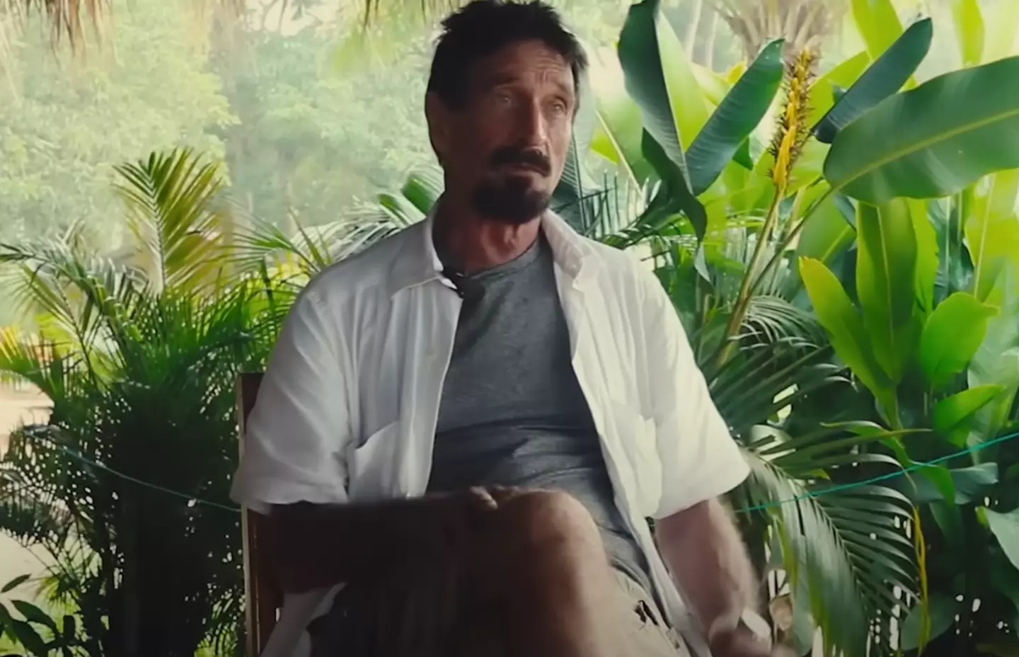 The documentary explores McAfee's childhood and life on the run.