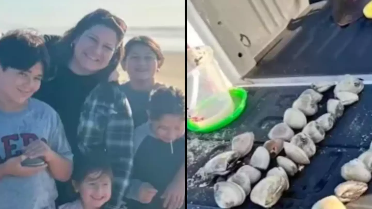 Woman ordered to pay £70,000 after thinking her kids had taken shells from beach