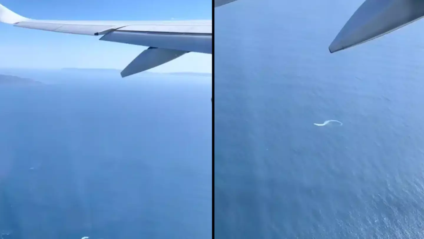 Dad sends message from his boat to daughter leaving on plane in extraordinary moment