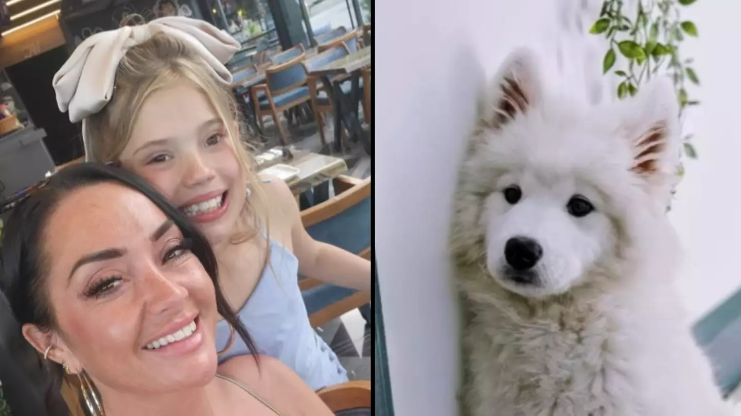 Woman issues warning after dog died while she was on holiday when dogsitter lied about being licensed