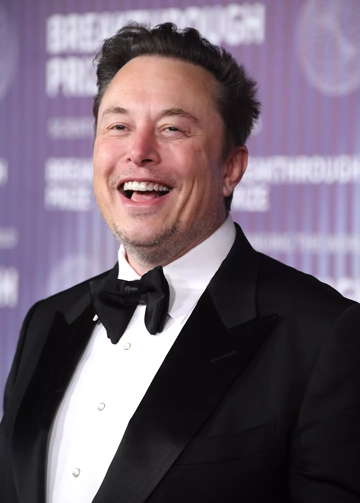 Musk has spoken extensively on his beliefs regarding procreation. (Steve Granitz/FilmMagic)