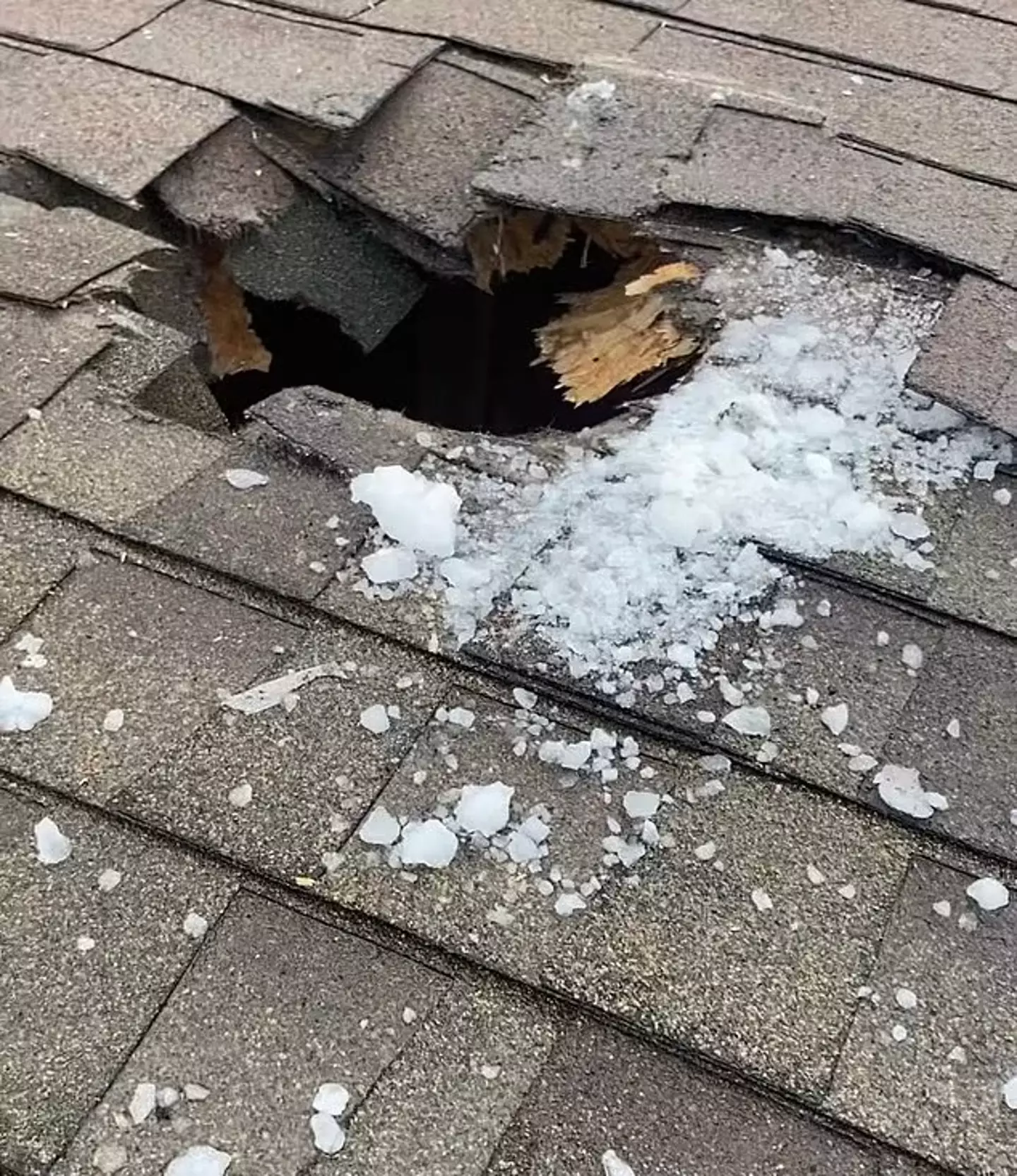 The 'basketball-sized' chunk of ice ripped a hole in the roof of the goat shed. (KUTV 2News)
