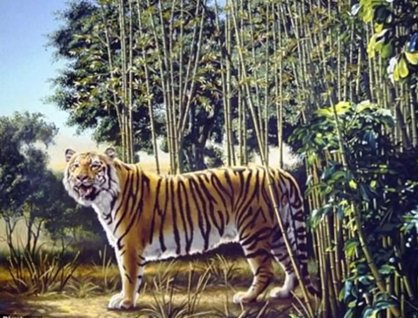 Get your eyeballs around this trippy tiger picture.