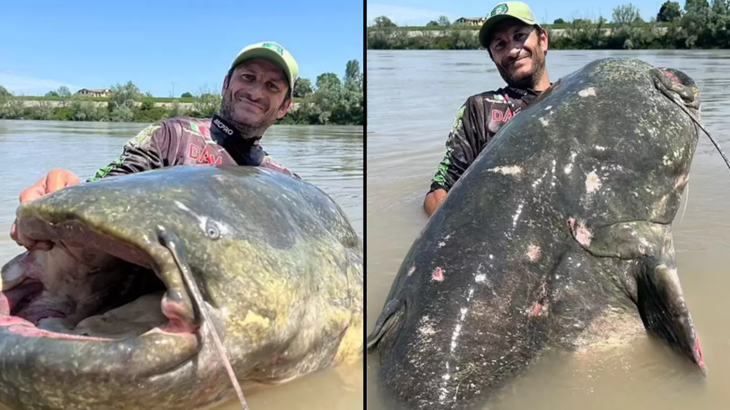 Monster' 9ft 4¼in catfish caught during 43-minute struggle could
