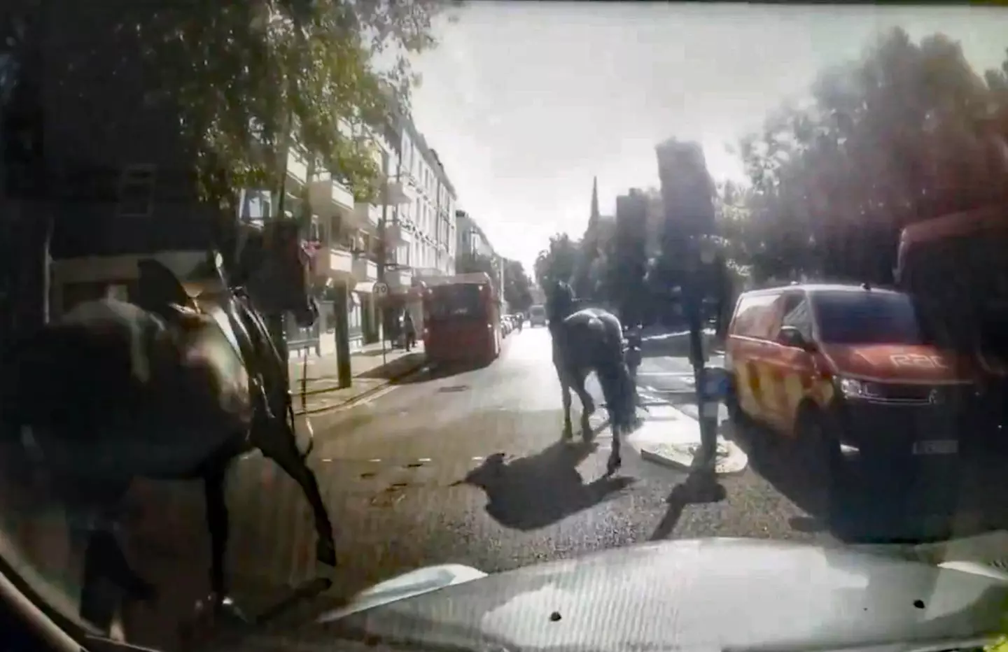 A black cab driver in London spotted the horses in the city centre. (PA/X/@Davenoisome)