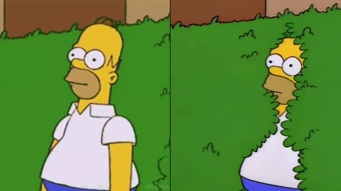 Simpsons fans feeling seriously old after realising how long ago iconic Homer meme episode aired