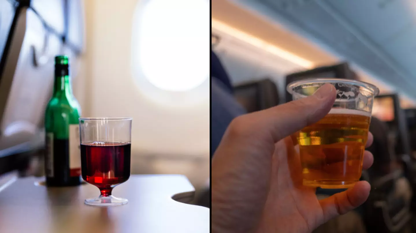 New study uncovers disturbing effects of drinking alcohol on a plane