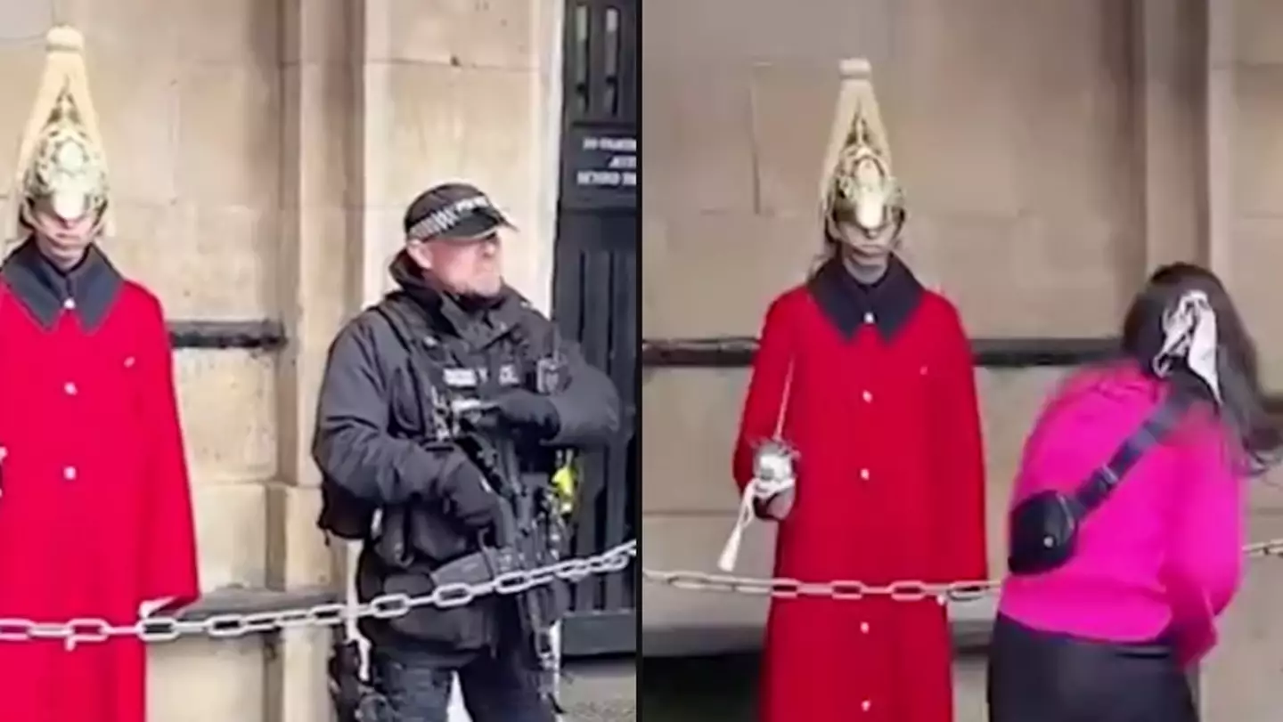 Armed police officer praised after telling tourists to 'stop taking the p**s' out of King's Guard
