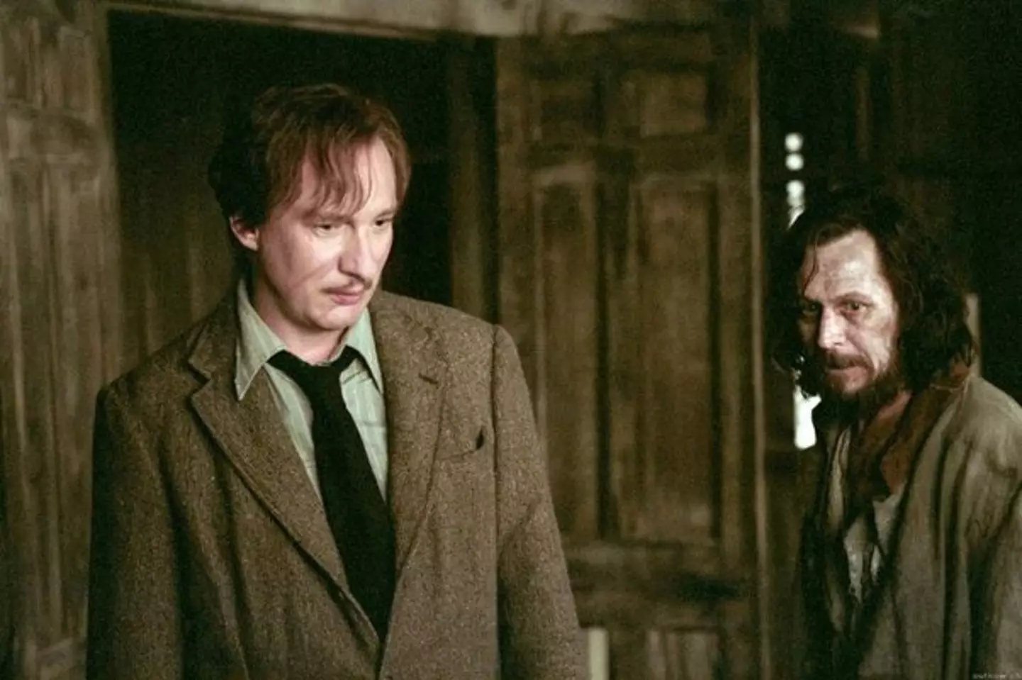 In another lifetime, Daniel Radcliffe wouldn't have minded starring as Sirius Black or Remus Lupin (Warner Bros)