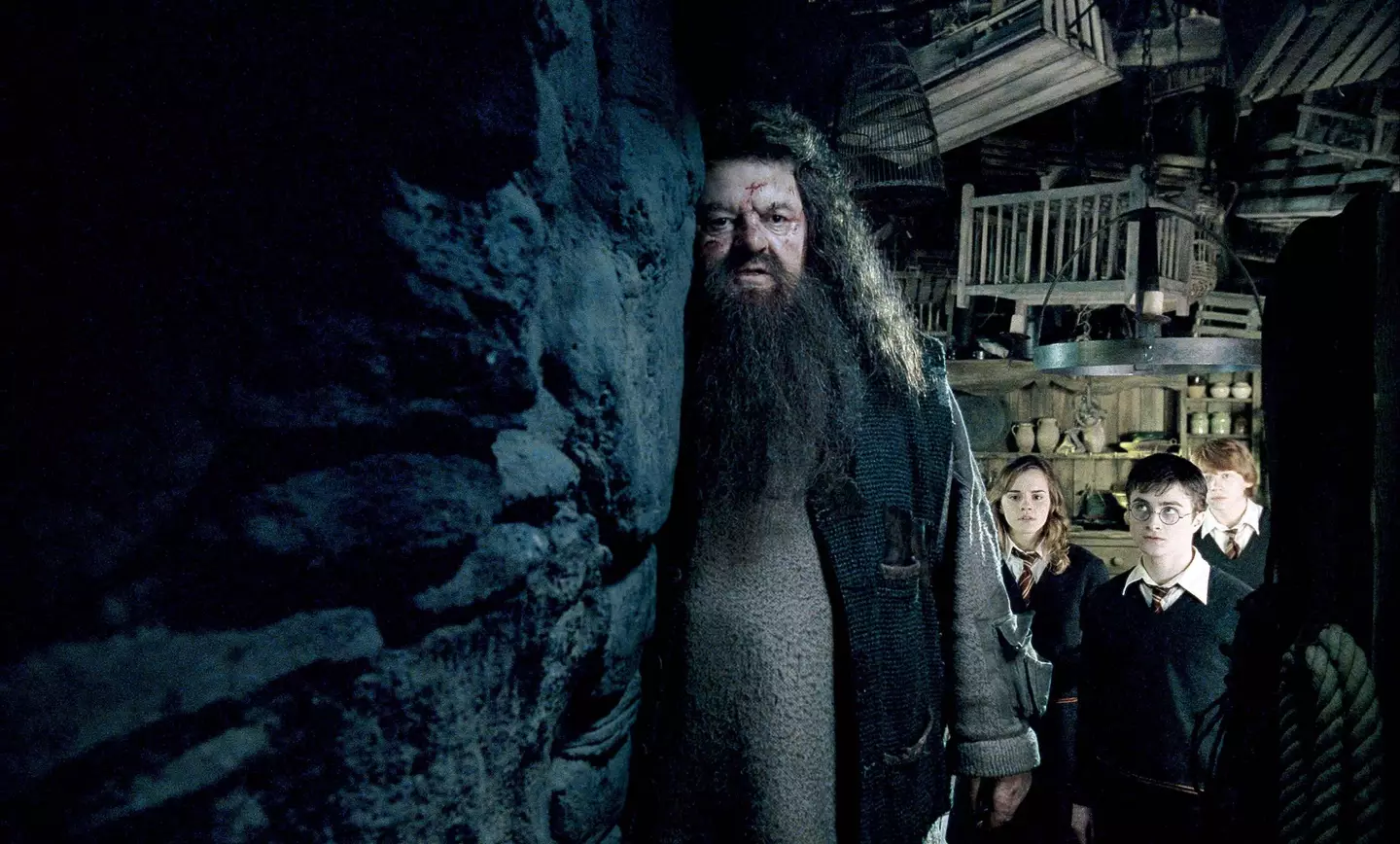 Coltrane is best known for his role as Rubeus Hagrid in the Harry Potter franchise.