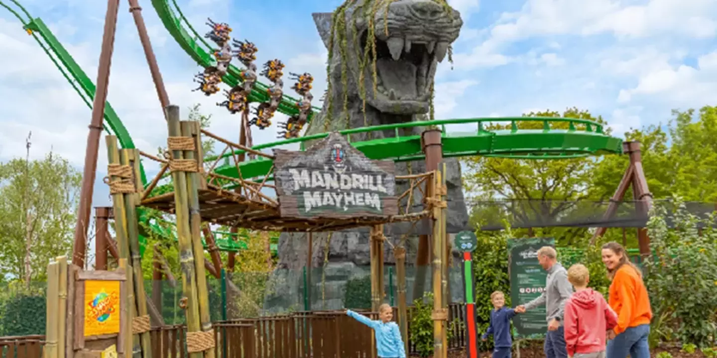 One of the main attractions is Mandrill Mayhem, an inversion rollercoaster that takes people around a giant Jaguar statue..