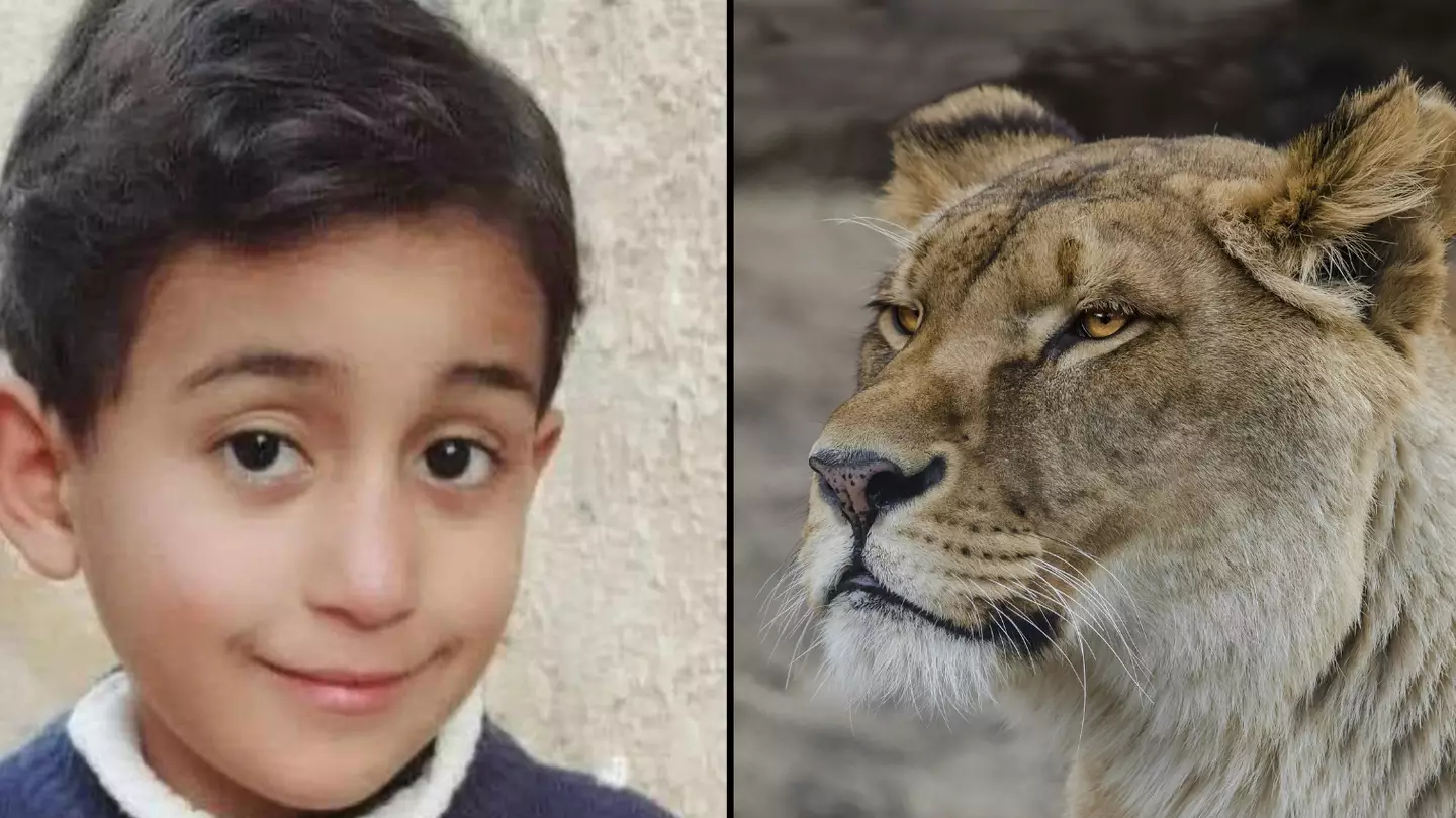 Boy, 6, mauled to death by lion after climbing inside zoo enclosure