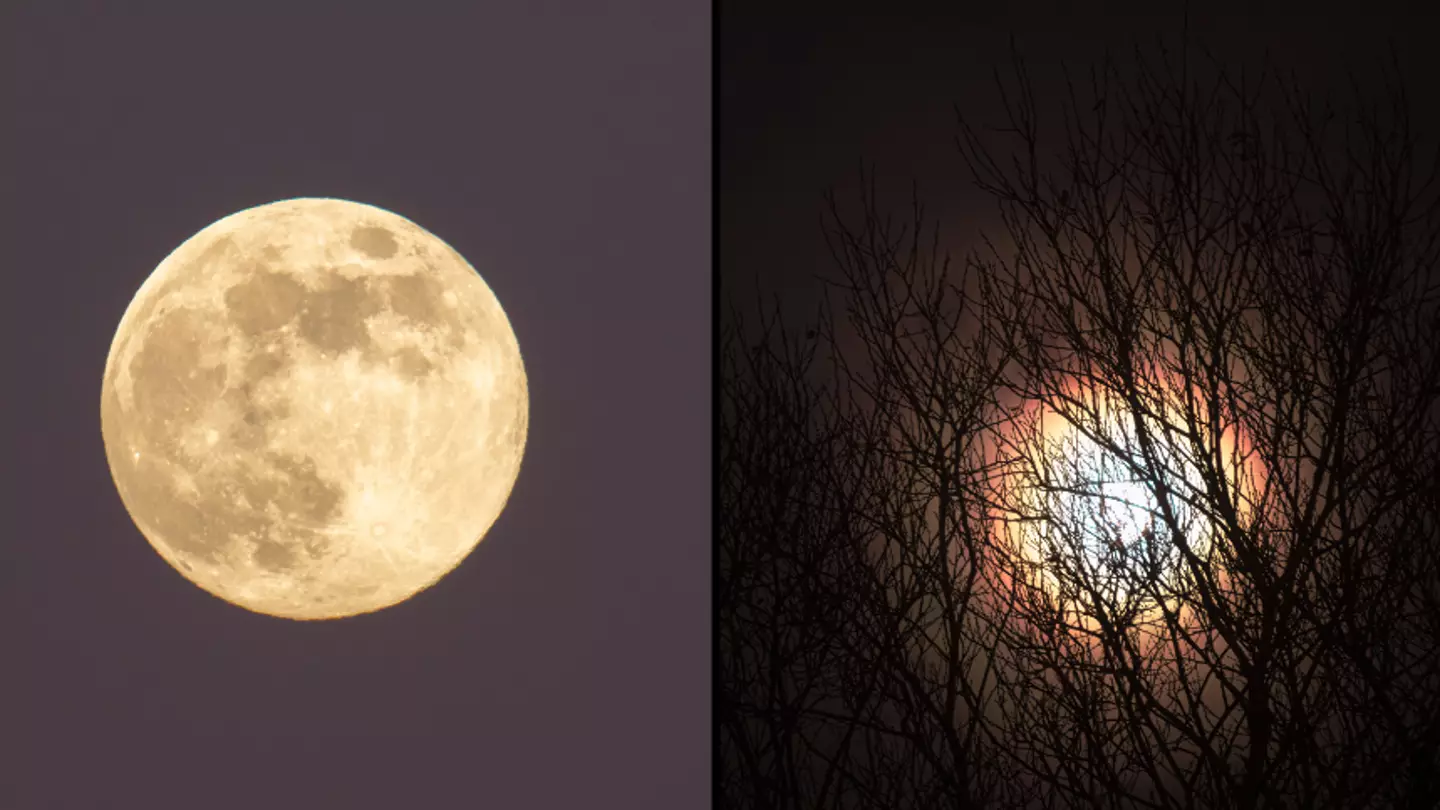 Last chance to see full Cold Moon this year as it’s set to light up the skies tonight