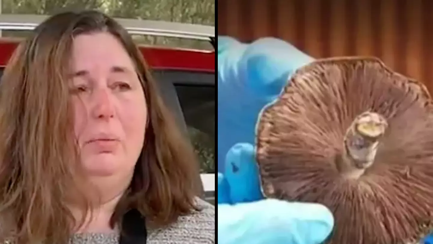 Woman who cooked poisonous mushroom lunch 'that killed three people' admits she lied to police