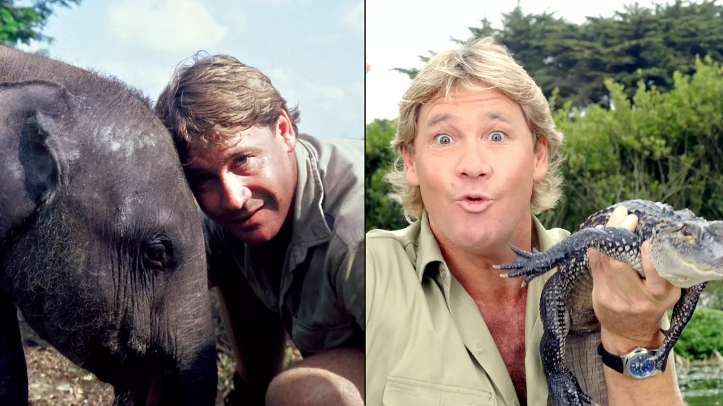 Why some people think they’ve seen Steve Irwin’s death on video despite footage never actually being released