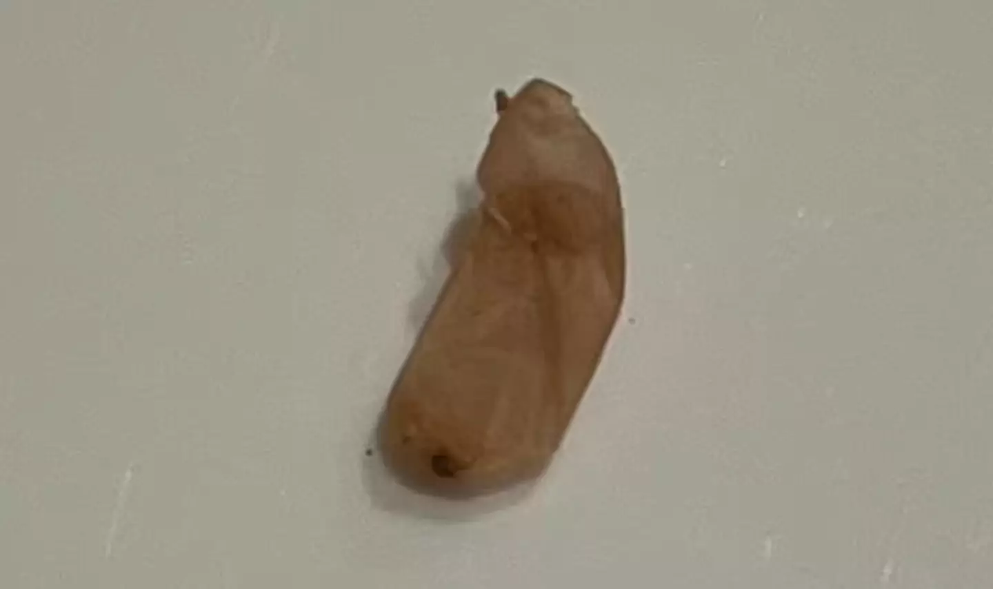 The woman was baffled after finding the bean-shaped objects in her bathroom.