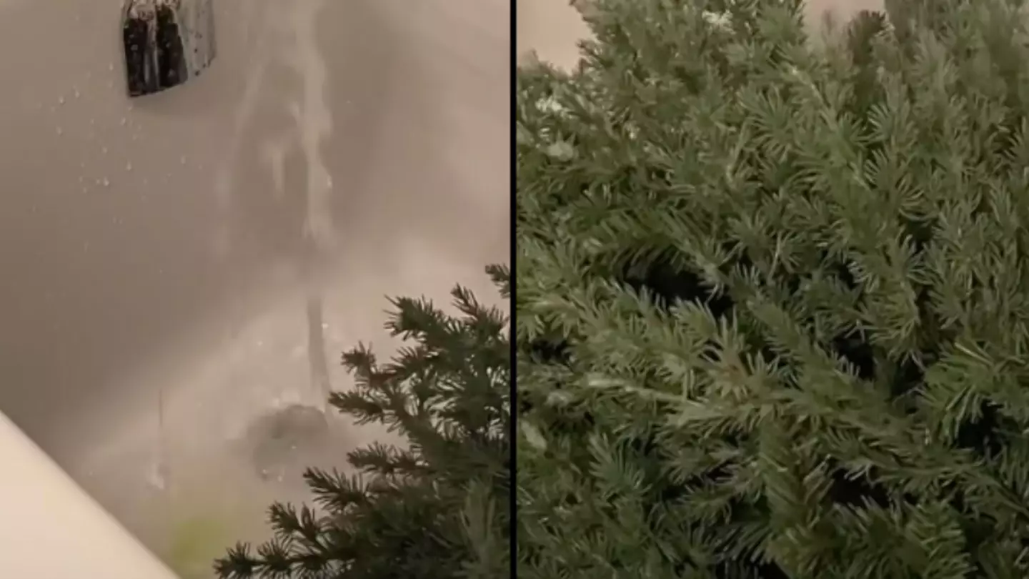 People baffled after woman puts Christmas tree in the bath before putting it up