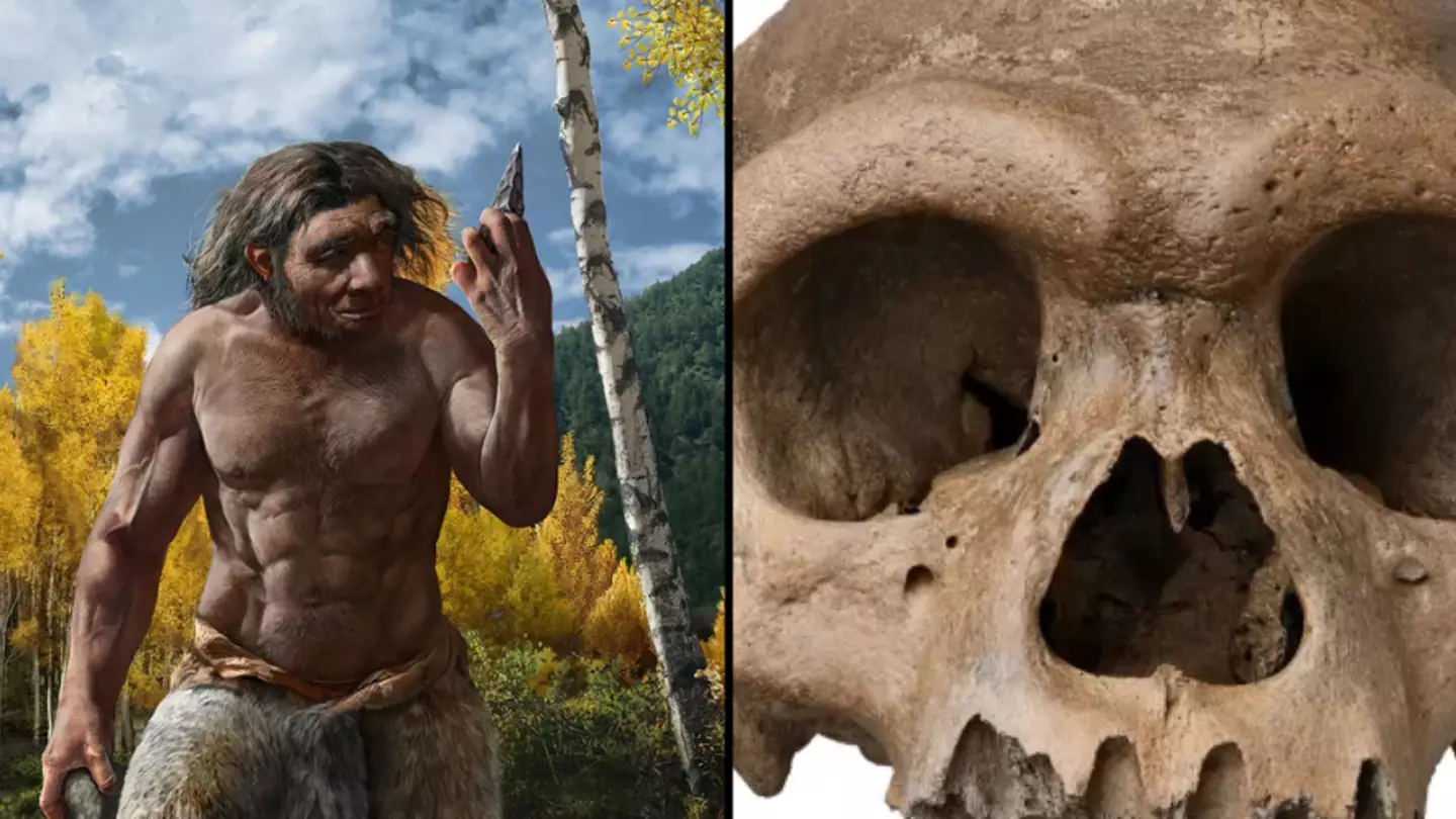One million year old skull believed to belong to ancient ‘Dragon Man’
