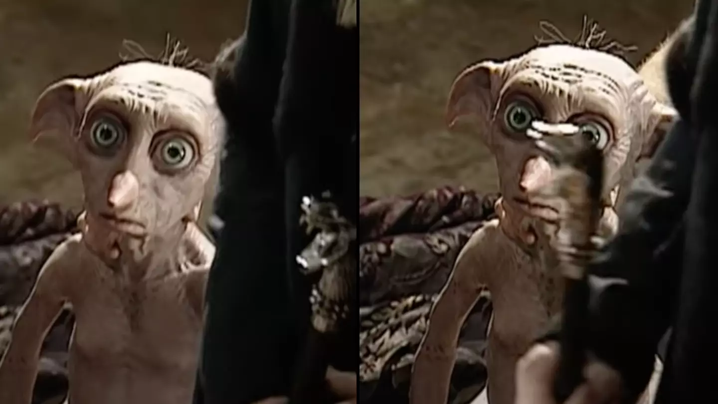 Harry Potter fans 'f***ing terrified' after seeing Dobby puppet which was used for film