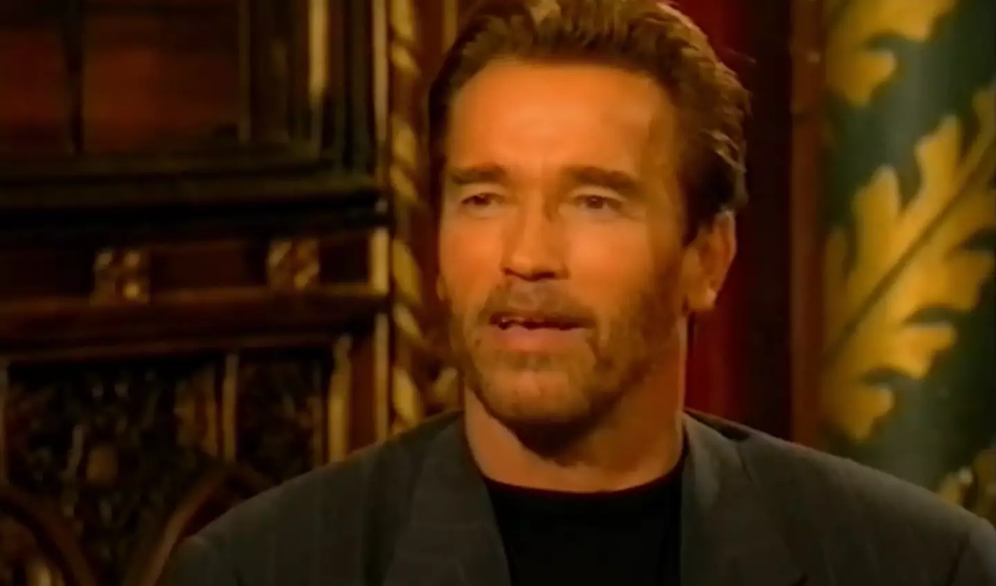 Schwarzenegger made his dreams come true.