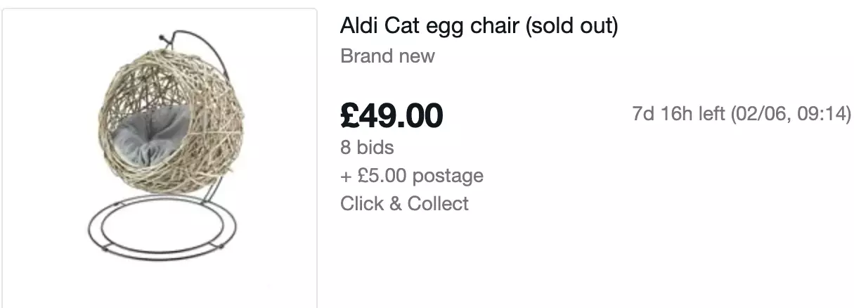 People are bidding on the cat-sized egg chair after it sold out on Aldi's website (