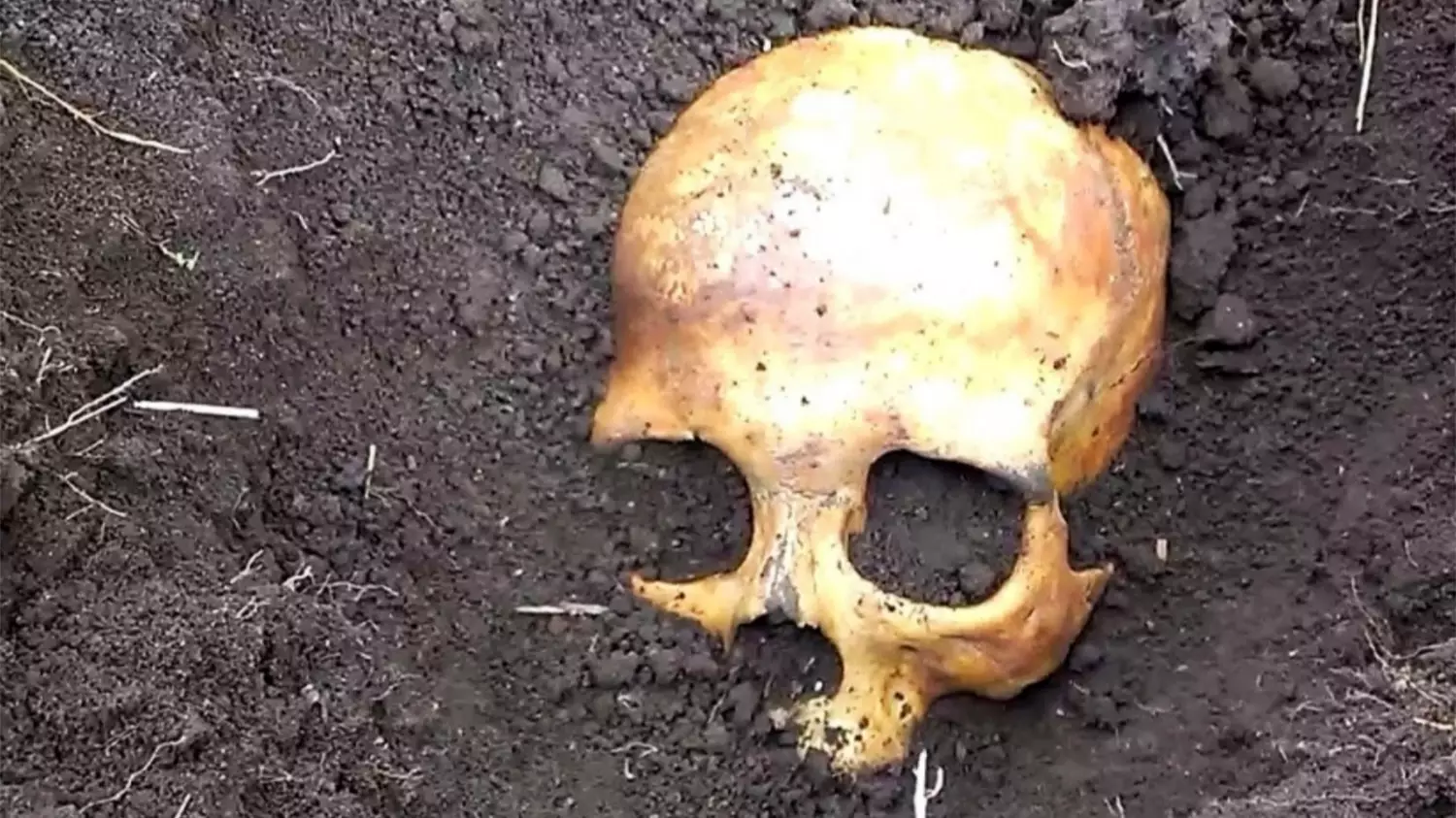Man Finds Skull In Potato Patch, Wife Calmly Tells Him It Belonged To Her Ex 