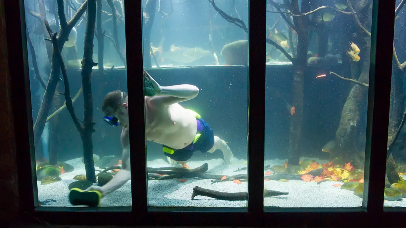 Fish fan Jack Heathcote turns cellar into Britain's biggest home aquarium