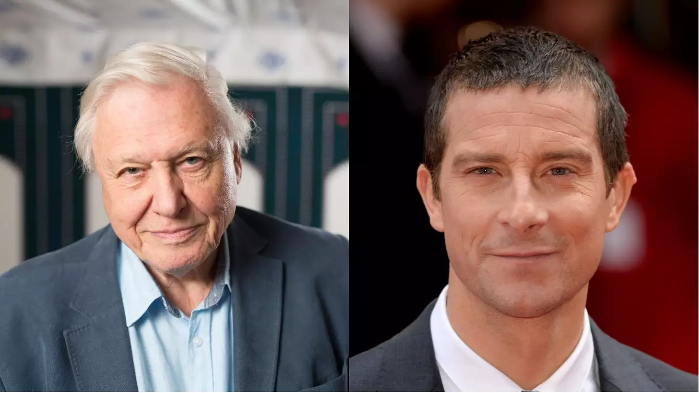 ​David Attenborough Goes In On Bear Grylls For Killing Animals In TV Show